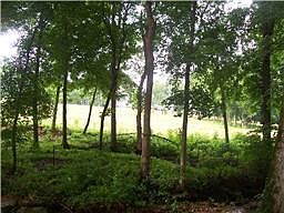 4th image of 2585 Little Bartons Creek Rd