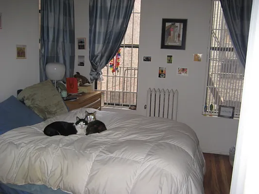 Rented by Magnone Real Estate | media 28