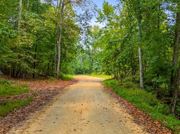 0 Baptist Branch Rd E, Mount Pleasant, TN 38474