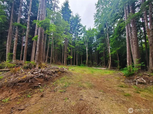 46 A North Shore Place, Hoquiam, WA 98550