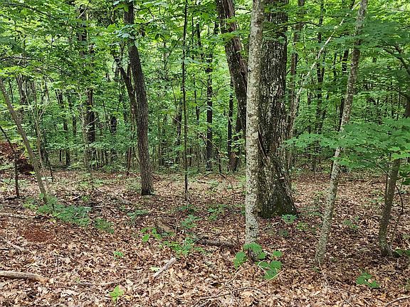 4th image of 34 White Oak Mountain Rd