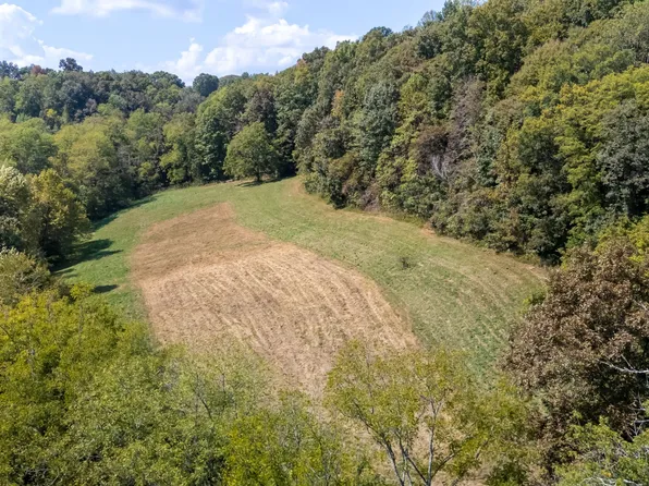 384 Big Spring Hollow Rd, Pulaski, TN 38478