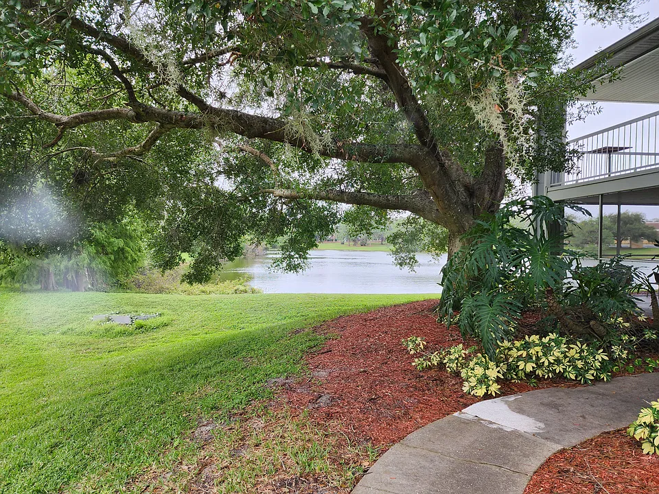 2612 Grassy Point Dr #100