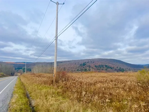 0 County Road 42, South Otselic, NY 13155