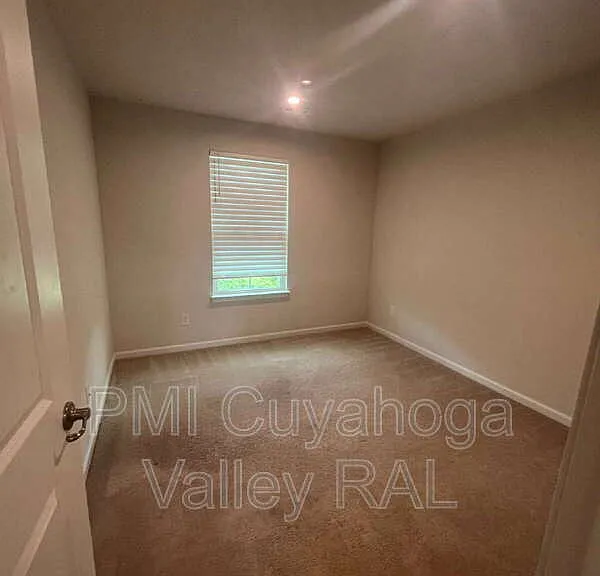 1161 Meadow Run — Photo 13
