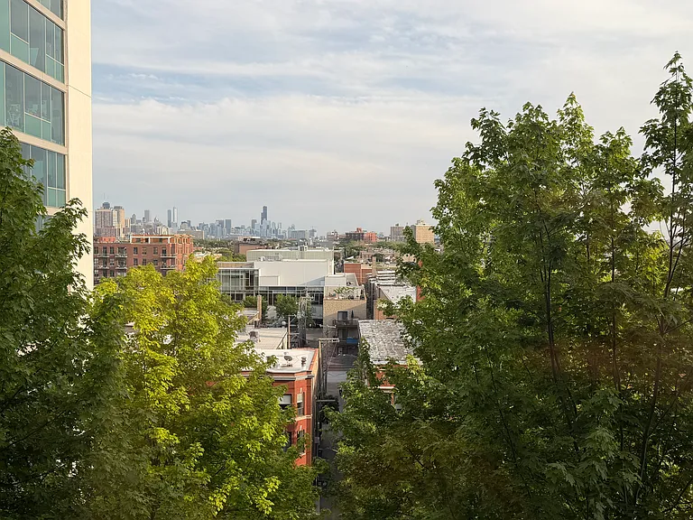 3741 N Halsted St #813 — Photo 11