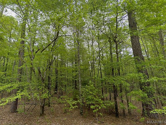 3rd image of 0 Pine Grove Rd