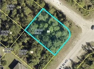 973 Grant Blvd, Lehigh Acres, FL 33974