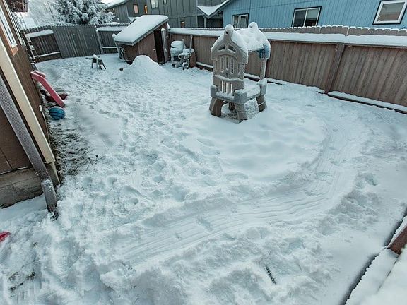 Back yard (all fenced in)