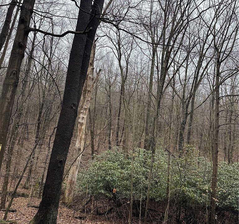 1st image of 0 Spruce Hollow Rd