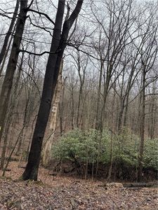 0 Spruce Hollow Rd, Connellsville, PA, 15425