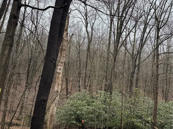 Spruce Hollow Rd, Connellsville, PA 15425