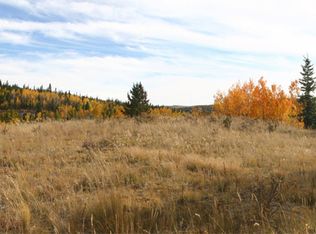 633 County Rd 1, Cripple Creek, CO 80813