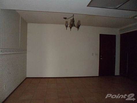Picture 068