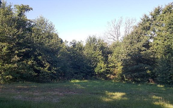 4th image of 7250 Lance Ln