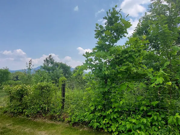 0 Briarwood Dr, Waynesville, NC 28786