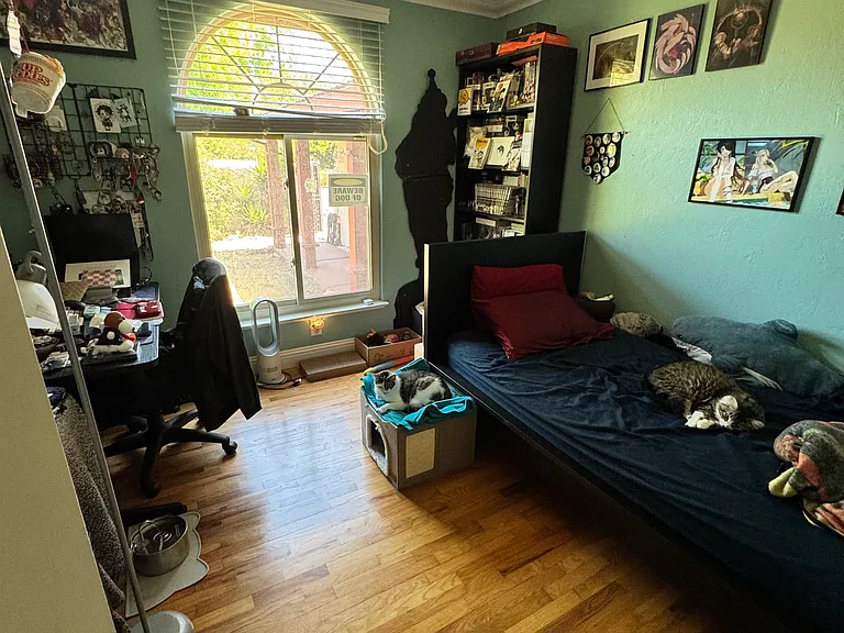 2529 Nube Ct — Photo 8