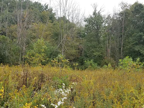 3rd image of 0 County Road 171