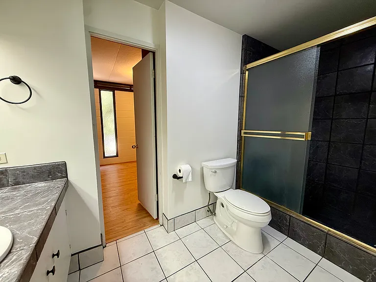 Jack and Jill bathroom