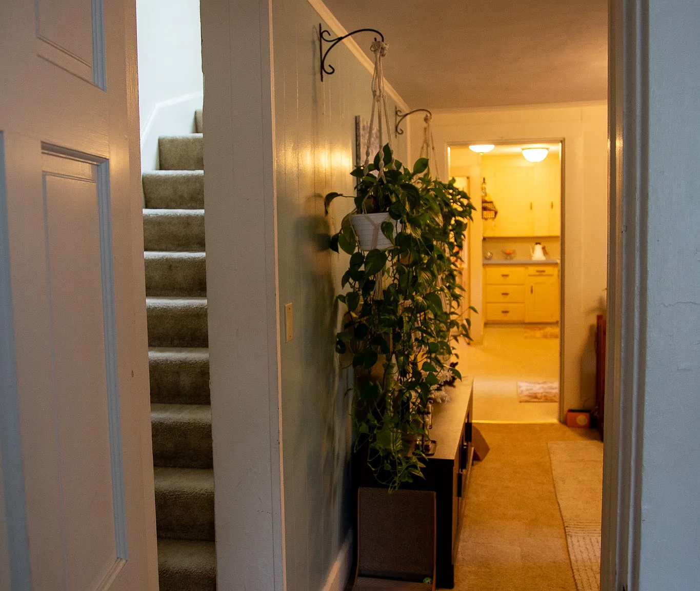 3 bed, 600 sqft, $1,895 — Photo 4