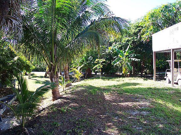 5th image of 4540 Escondido Ln