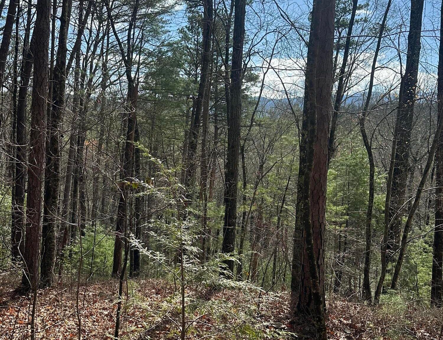 6754 Happy Valley Rd, Tallassee, TN 37878 MLS 1259571 Zillow