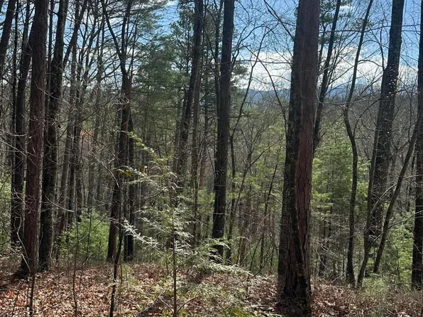 6754 Happy Valley Rd, Tallassee, TN 37878