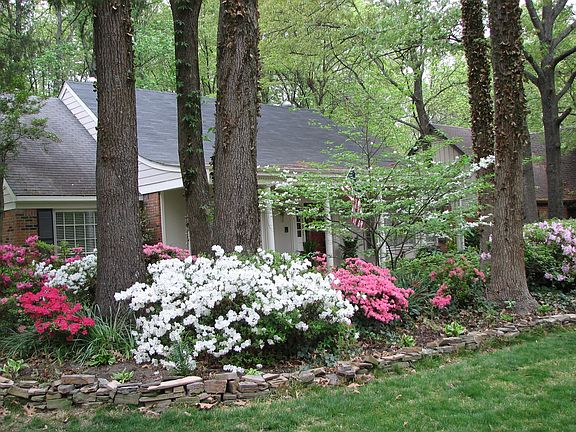 Spring 2007