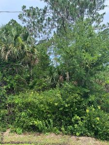 2 Bunker Knolls Ln, Palm Coast, FL, 32137