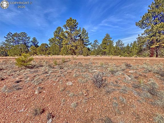 4th image of 426 Arapaho Rd