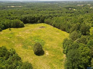 525 Overlook Rd, Blountsville, AL 35031