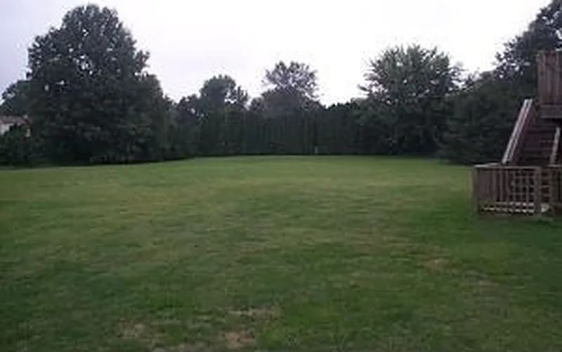 Thumbnail 16
