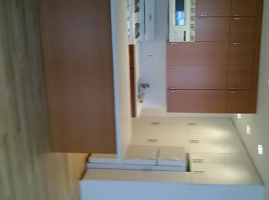 Rented by International Home Realty | media 14