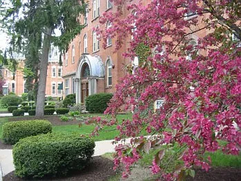 Skidmore Apartments — Photo 45