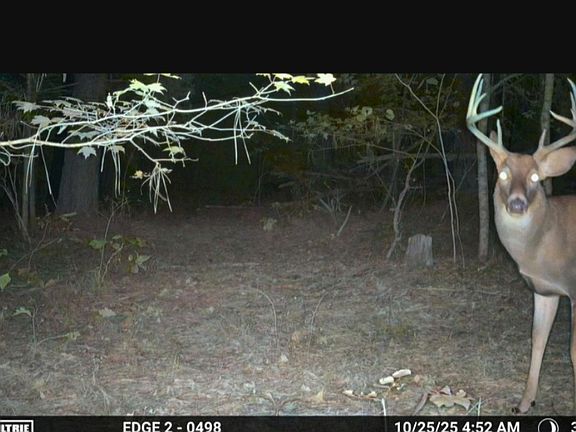 4th image of 0 Meadows Rd