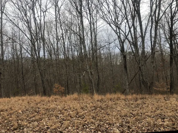 99 Deepwood Dr, Waverly, TN 37185