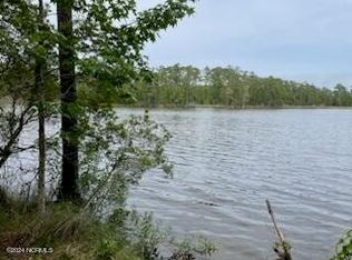 9 Pitch Kettle Ct, Belhaven, NC 27810