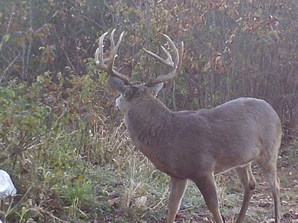 1st image of 2232 State Route 83 Rd