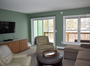 35 Potter Ln UNIT 272, Enfield, NH 03748