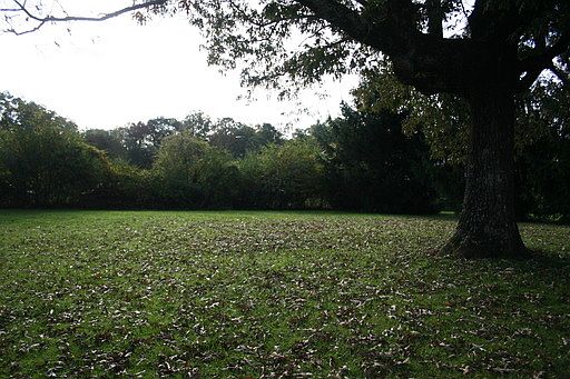 5th image of 229 Barksdale Ave