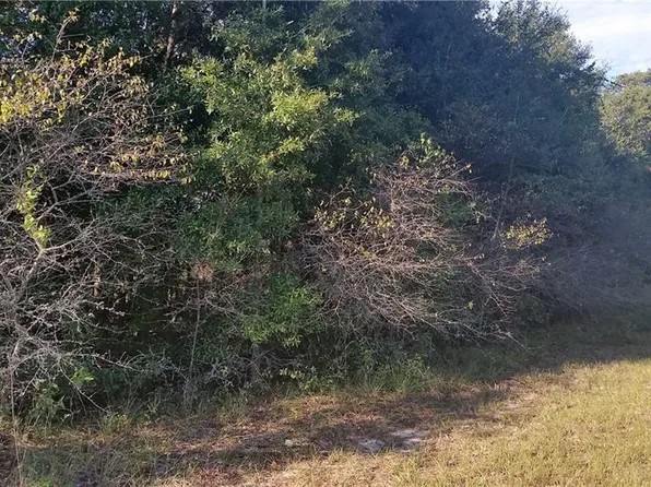 42921 State Road 19, Altoona, FL 32702