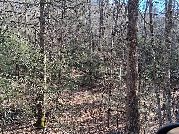 3rd image of Tbd Gullion Fork Rd