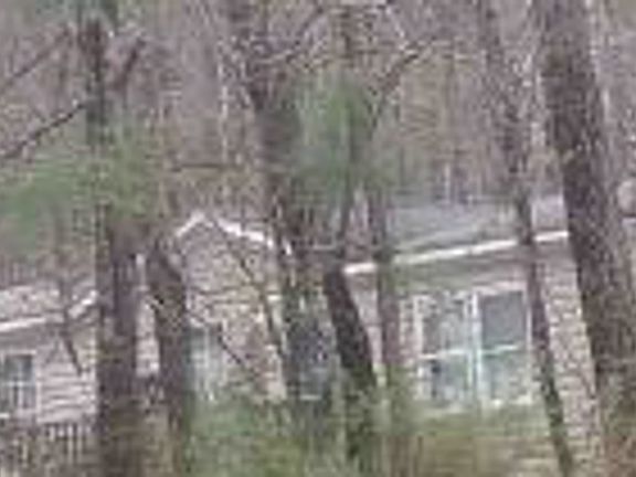 Property Rear View