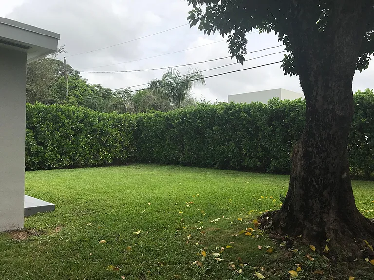 Another view of the fenced-in back yard with tall privacy hedge.