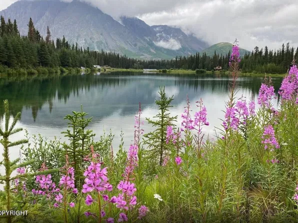 Mi 214 5 Parks Hwy, Cantwell, AK 99729