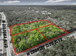 8808 N Deltona Blvd, Dunnellon, FL 34434