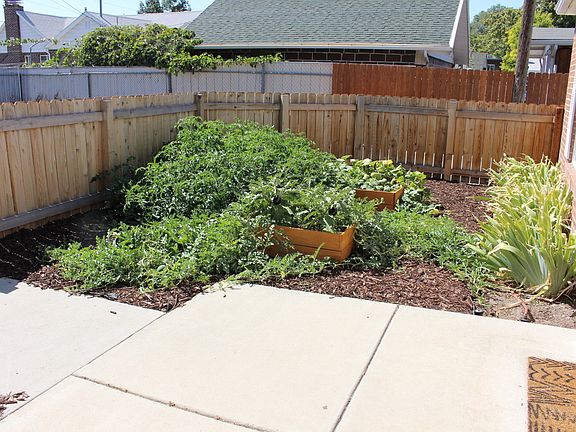 Front yard