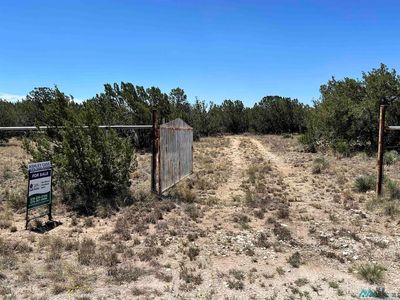 13 Turkey Canyon Rd, Carlsbad, NM, 88220