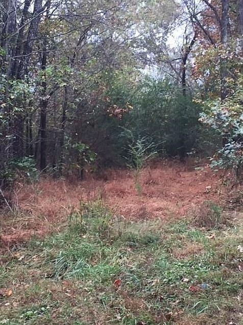 2nd image of Mt Olive