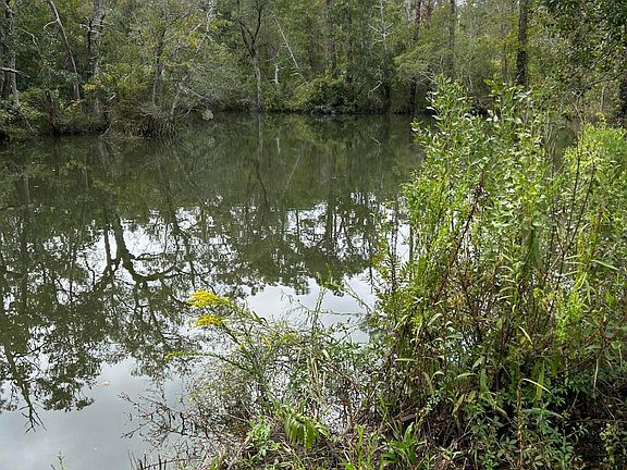 The river lot which is a 2 minute walk from rental house. You can fish from the shore or rent a canoe or kayak and explore the beautiful Bon Secour river. The canoe rental place is right down Riverwood Drive.